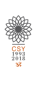 Logo CSY 25 anni